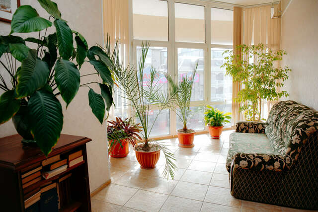 Гостевой дом Олимп Анапа-211